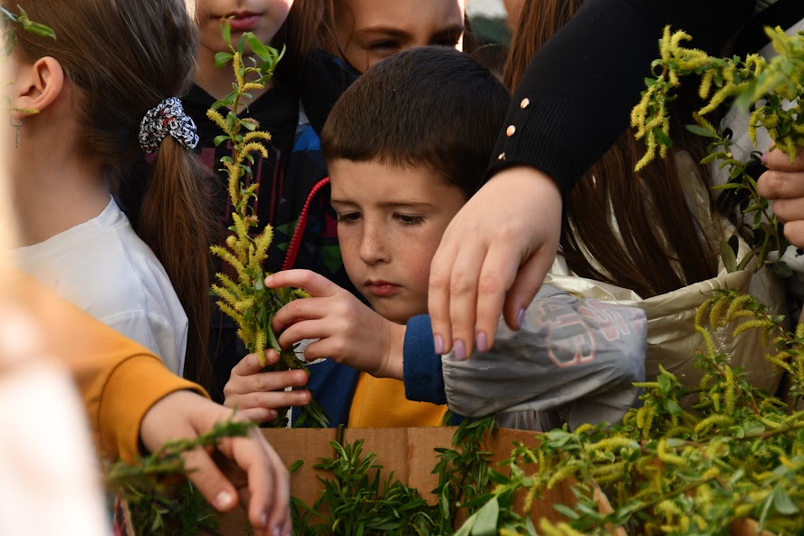You are currently viewing Лазарева субота и Цвијети у барском саборном храму