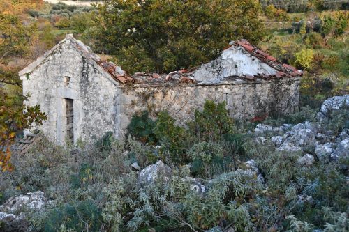 Read more about the article Света Литургија у цркви Светог Марка у Подима