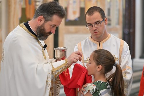 Read more about the article Отац Младен Томовић – „Радујемо се што је људска природа узнесена на небо пред престолом Божијим“