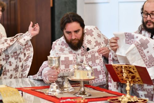 Read more about the article Прослављена 18. недеља по Духовима – Св. Отаца VII вас. сабора