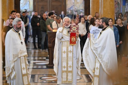 Read more about the article Отац Милош Весин: „Трпљење је врлина која нам данас толико недостаје“