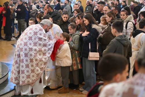 Read more about the article Отац Слободан Зековић: „Да ли након имена Божијега има љепшег имена него што је име мајке, и љепше службе и љепшега дара, него што је дар материнства“