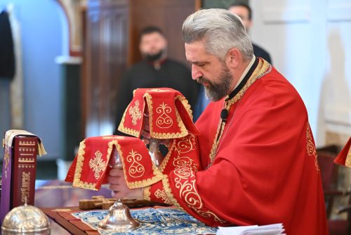 Read more about the article Отац Слободан Зековић: „Узрок сваког људског страдања, свих болести и патњи које сналазе човјека је гријех“